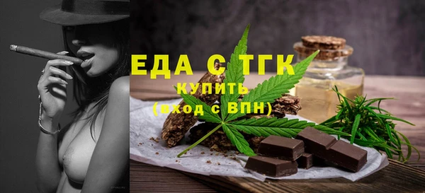 спиды Богородицк