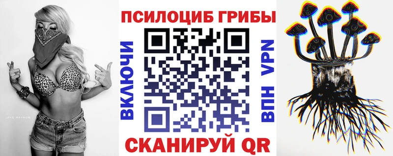 Псилоцибиновые грибы Magic Shrooms  Железногорск-Илимский 
